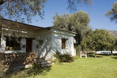 Beautiful house for 4 people with pool and large garden olive trees