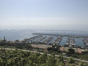 Marina