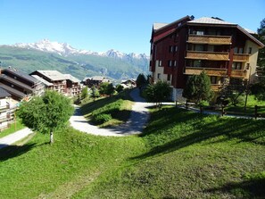 Summer view