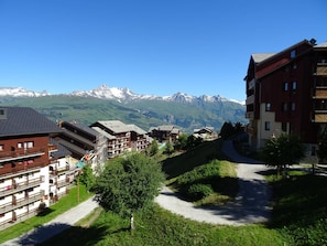 Summer view