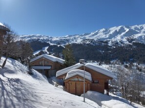 Winter view