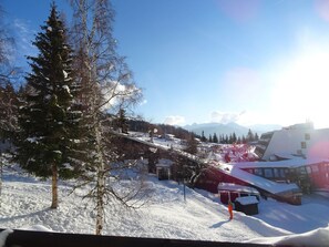 Winter view
