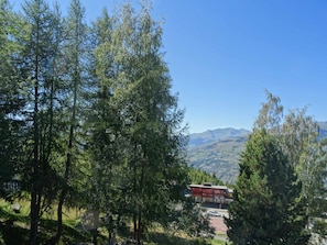 Summer view
