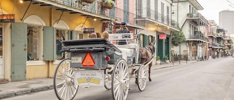 Horse and buggy - rent a ride in Jackson Square.