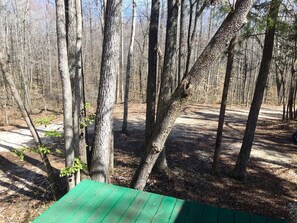 View Of Woods From Back Deck

