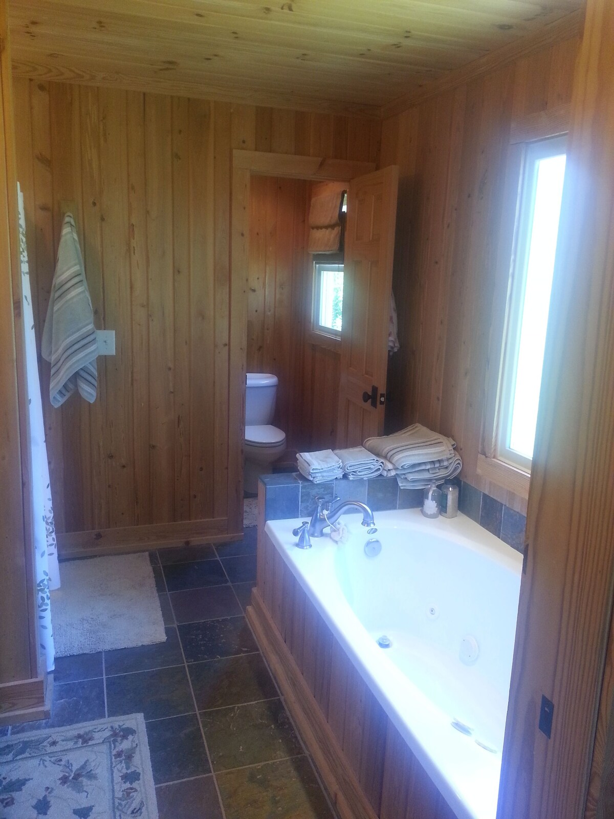 Pet Friendly, Rustic LakeFront Home, 4 kayaks, Pontoon rental, free WiFi, Floats