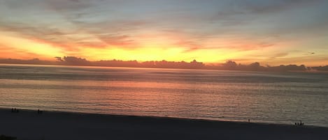 Nightly sunset shows.  The lanai looks due west over the Gulf of Mexico.
