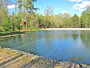 FULL VIEW OF POND IN FRONT OF CABIN