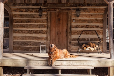 2 Lux Cabins and Treehouse on 50 acres Stunning Lake Views, Fire Pit and Hot Tub