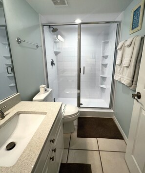 Updated Private Master Bathroom with Walk In Shower - Updated Private Master Bathroom with Walk In Shower