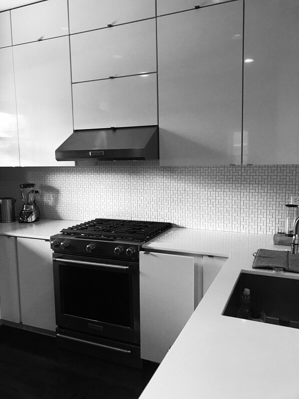 Brand new chef's kitchen with stainless and quartz countertops.