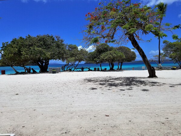 Sapphire Beach from your patio - Yes! you are that close to your toes in water!