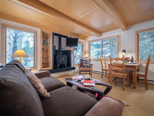 Living Area with Wood burning Stove--458 total sq. ft.