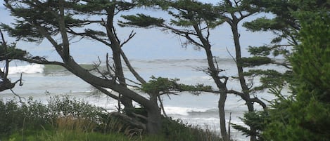 Ocean and Wave views from great room