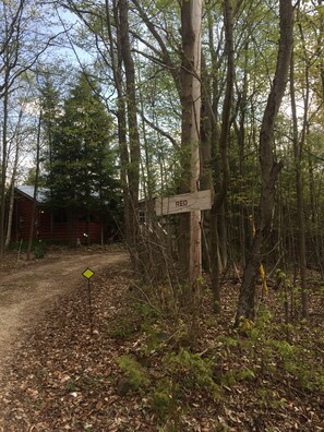 Private and quiet location in the woods, short walk to Eugenia Falls and Bruce Trail