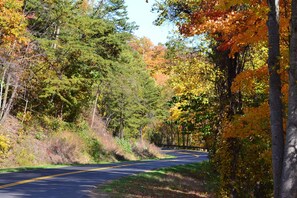 Take a leisurely drive through the Park