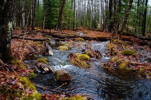 Sophie's Brook, on the property, a minute walk from the house