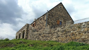 Back view