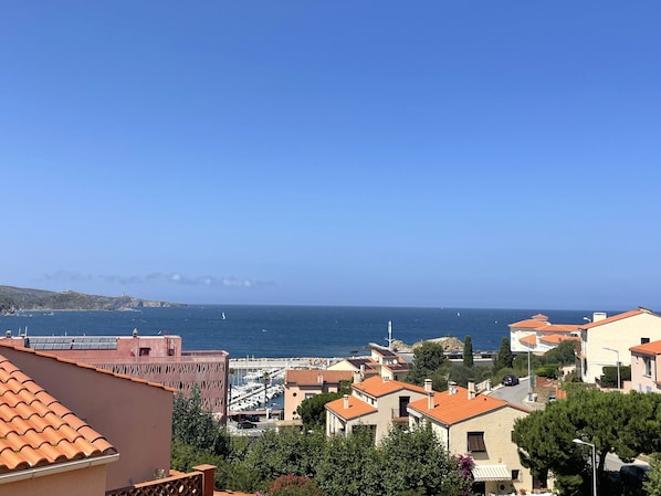 Beach/ocean view
