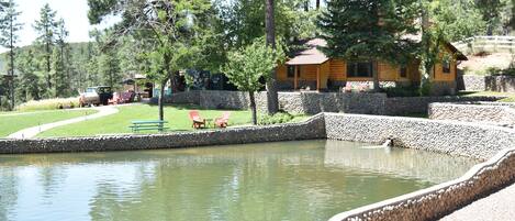 View of Cabin on the Pond.