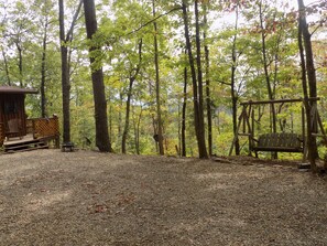 Large driveway with view of Mt. Leconte.  We have a fire pit and swing.