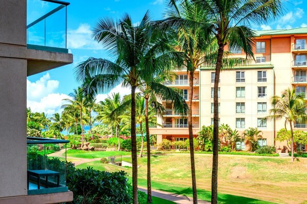 Tropical landscaping with walking paths to the beach     HKH-240