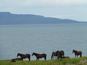 Fabulous scenery on the road from Louisburgh to Westport