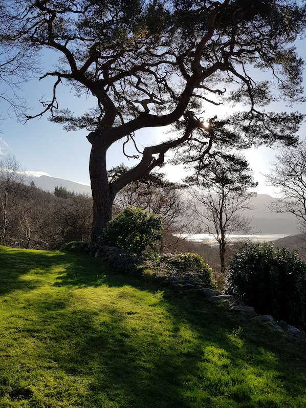 Stunning views of Cader Idris and Mawddach from cottage garden