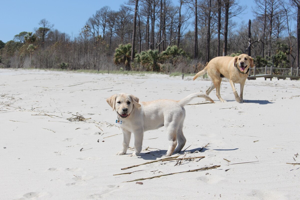 Daufuskie Cottage Historic District / High Speed Wifi / Pet Friendly