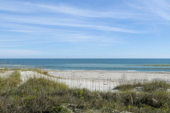 Strand