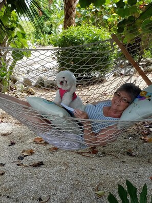 Cool breeze and a hammock for relaxation 