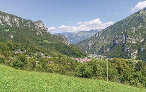 area