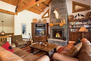 Living Room Fireplace