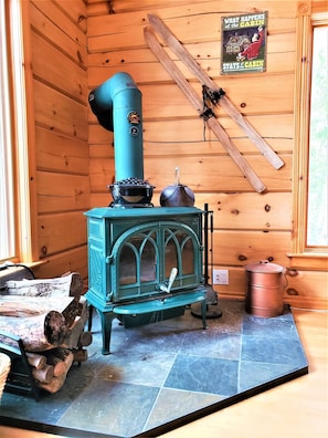 Jotul wood burning stove