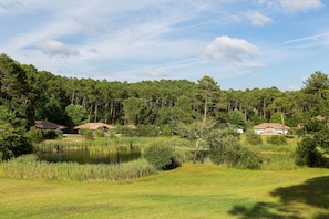 Jardín