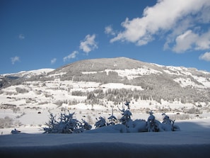Vista a la montaña