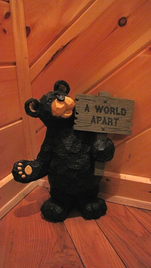 We hope you come to realize what sets this cabin apart from the rest!