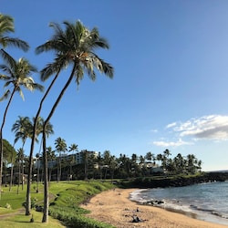 Shore Walk To Wailea Area and Sea Turtle Watch Also Good Local Snorkeling Beach