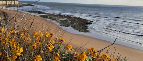 Stone Bay Beach