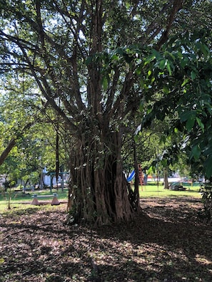 Enceinte de lâhĂ©bergement