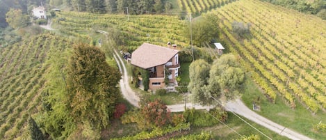 A house in the vineyard