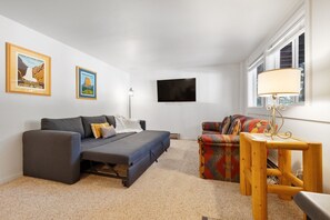 Living Room with Convertible Sofa