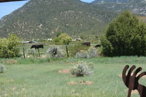 Panoramic mountain and horse / cow pasture views from kitchen / living great room