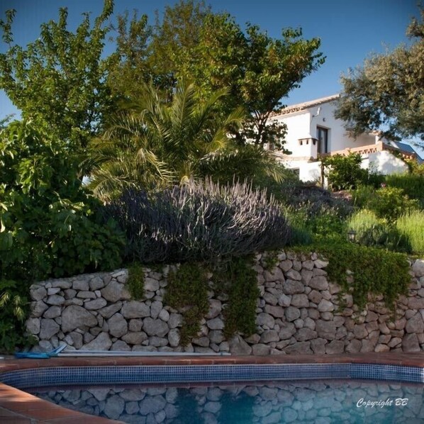 Swimming Pool 6.5x3 m