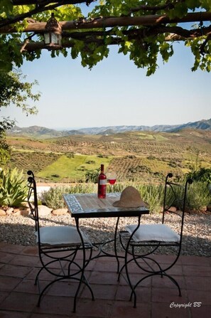 View from the terras