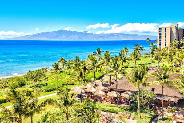 Dreamy ocean views and lush palms?wake up in paradise.