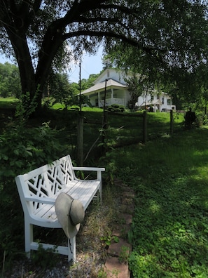 View from The Black Twig Garden at the Cottage.