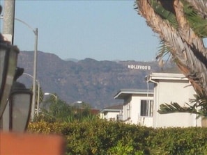 View from the outdoor patio.