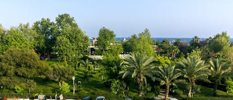 Vista dalla struttura