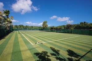 Sport court